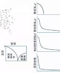 ¥�ϵ����ܽ��᲻��Ʈ���Ҽ��� ����ϴ��ͰҲ��������ܽ���