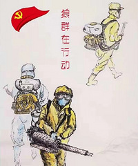 ��Ⱥ����ж���������