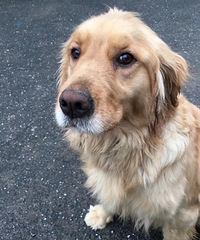 ��æת��һ�¹��߶���