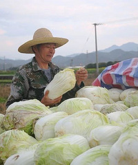 3����ײ�������������������ũ���������ת��