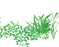 �޼�����5�����꣡�����µǡ����������š���ũ����æ