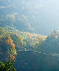 ��ĶҰӣ����Ȼʢ�ţ�