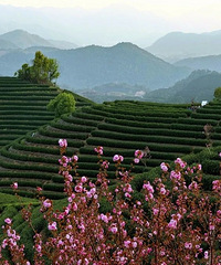 ��ѿ���ȣ�ֻ��������������ȫ���ɲ蹤�����ǵ�һ����