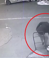 ���ڣ�����������԰���������ض�������