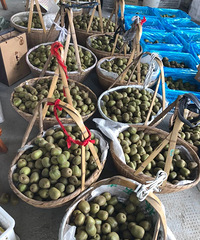 ����G20����ع�Ʒ������ͥ��⨺�������ֻ��100Ԫ/��