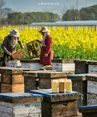 �������������׳����꣡��������£����Ĵ����ܶ���