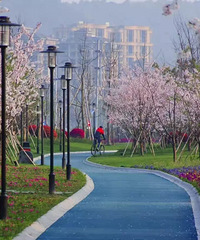 ����һ��Ƭwanghong����������ơ��������𣿱����������ȵ���ѡ��