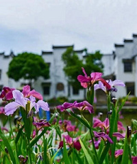 ��������ֵ�����������¯������������򣨽ֵ���������