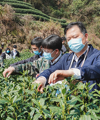 ���죬��������һ������ġ��ɲ蹤����