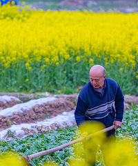 �������ޣ���ĩ���ͻ���