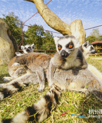 ����������������տ�԰��ע���������պã�