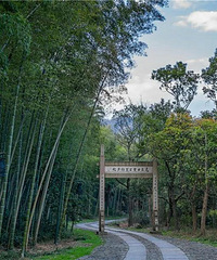 富阳这些景区对全国游客免费开放!