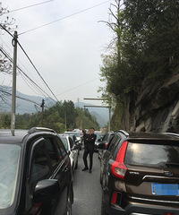 ÿ�������Ͷ£���鶵���Դ��·�Σ�