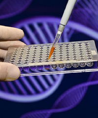 �ɳ�����绰����˵�ڸ�����⣬Ҫ����Ҷ���DNA