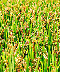 �������ǲ�𽨽�������������ξ�û��������