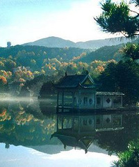 �������ձ�����Ƽ�~