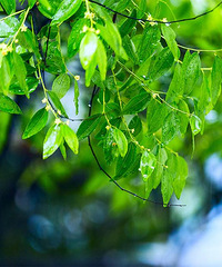 ����7����Ѯ�к���������÷