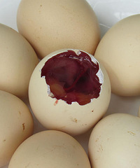 �������������û��ϲ������̫�����