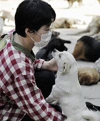 ������û�о�������è�����Ŷ�