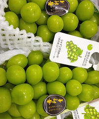 ������100һ�������ѣ�ȴ���ҿ���ҥ�����ѽ�����