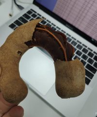 �������Ż������������������֪����ʲô��