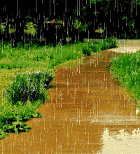 ÷��������ٴλع飬�����ĸ����������