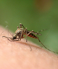 ס12¥������������ֻ���ӣ�Ҫס��¥��û������