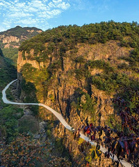 ���ϳ�÷�ˣ����������������ѡ��ȥ���