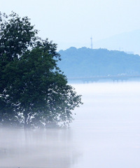 ���������������ɾ�