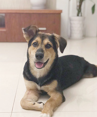 7��15�ռ���Ĺ�������Դ�߶�û�лؼң����ɱ���͵��