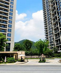 ���������뵺���ʱ�����ԣ��������¾���ʡ20������