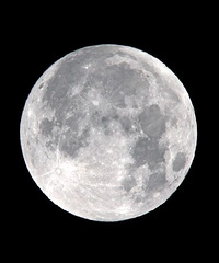 100�������6�Σ������ǵÿ�ѽ��