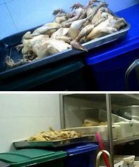 ���̲�����������ˣ������ֱ������......