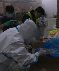 ���������ʡ�����ʳƷ�������¹ں����⣬�����ô����