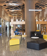 932�׸������칫Ԣ���ˣ�����������