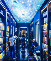 ���յ�������С����Ƽ���ֵ��ȥ�ĵط��ɣ�