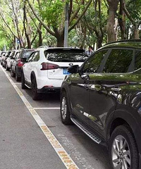 ������������ʱ�ε�·ͣ�����