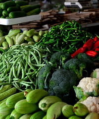 �����ж�����ʿ��֪����ô��ѡ�õĲ˵ģ�