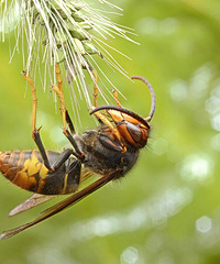 �����ͼ��ﶼ�����䣬������ר�ų�����Ĺ�˾��