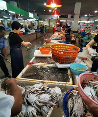 �з��������µ�ʱ��۸�Ȼ����5��