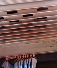 605·�������Ŀյ������̫����