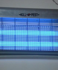 ����һСѧ���������ߵ������۾��¹�