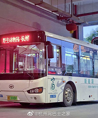 ��վ�������߽�����Ұ������԰����վ��ר��Ҫ��ͨ��