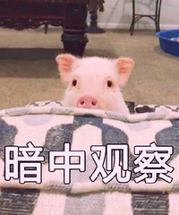 ��ô���������������׵�������