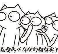 ����һ���ӷ�񲦴�110����ʾ����Ҫ�����ţ���