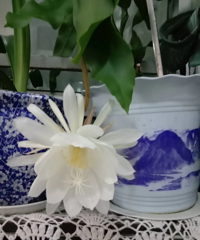 �������������꼻����ˣ��Ǻ�������