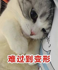 �������飺�ڸ������ٹ��ʲ���̸Ů���ѣ�