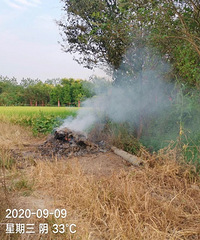 С�ģ��ڸ������������Ҫ�������ˣ�