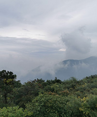 [�Ƕ�]ҹ�����������ճ����ƺ�