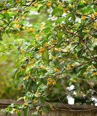 �𻨾��࿪�ŵ����죬����һ�ľ�������